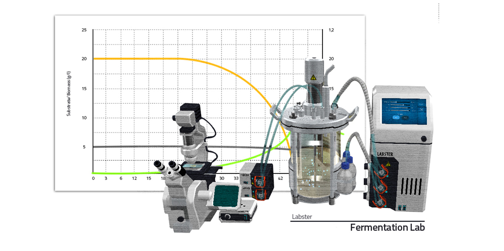 欢迎来到发酵案！